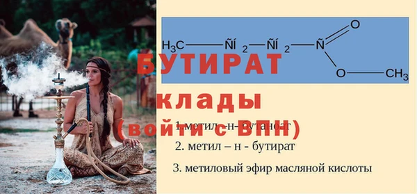 прущие грибы Кедровый