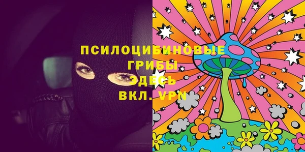 mdpv Няндома