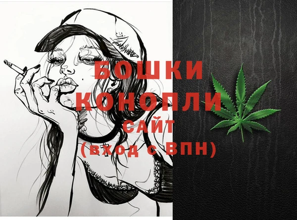 прущие грибы Кедровый