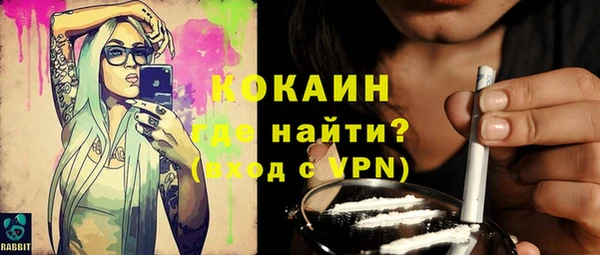 mdpv Няндома